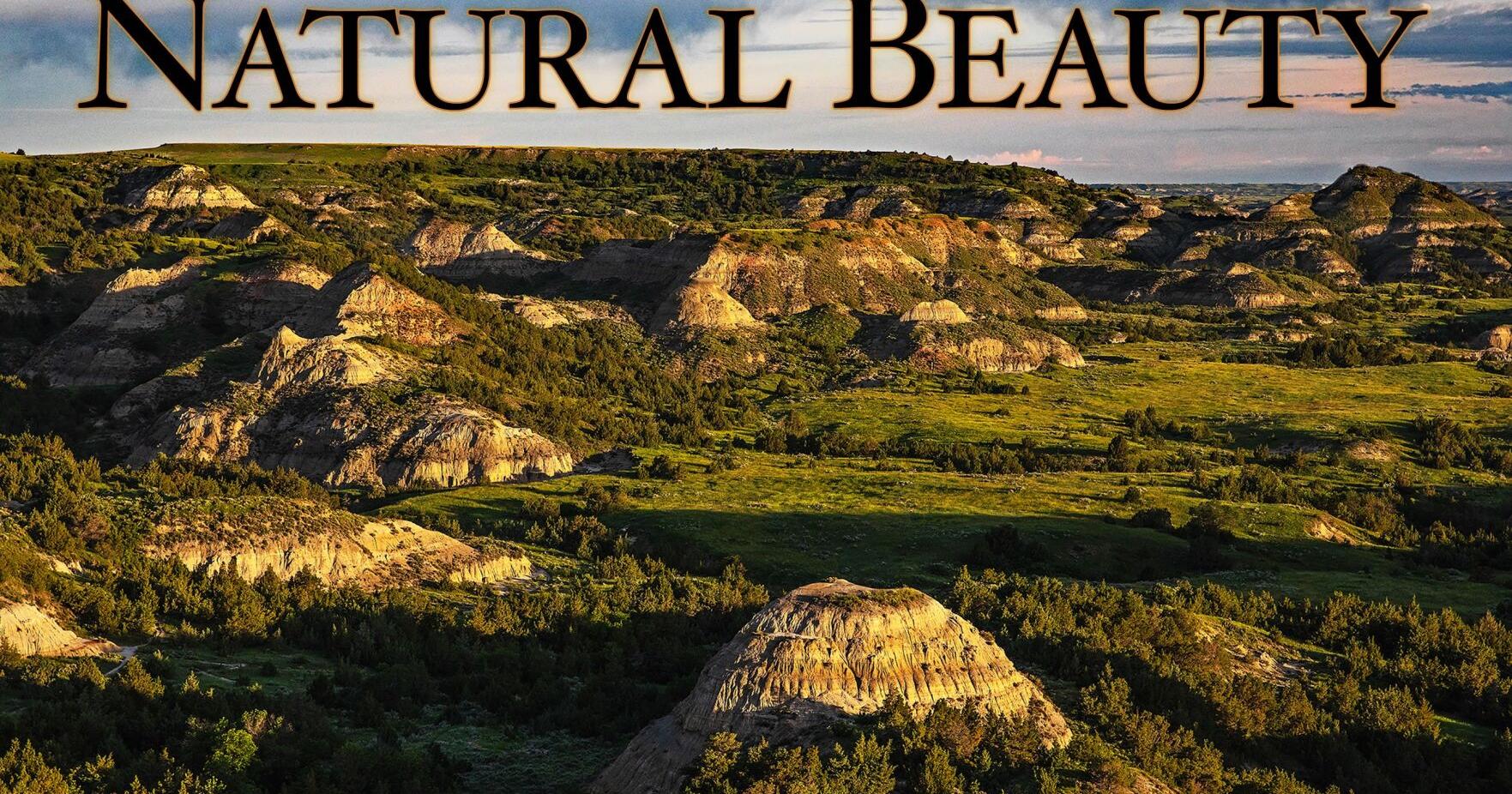 Capital Gallery 'Natural Beauty' exhibition features photography, ceramics and paintings - Vimarsana News