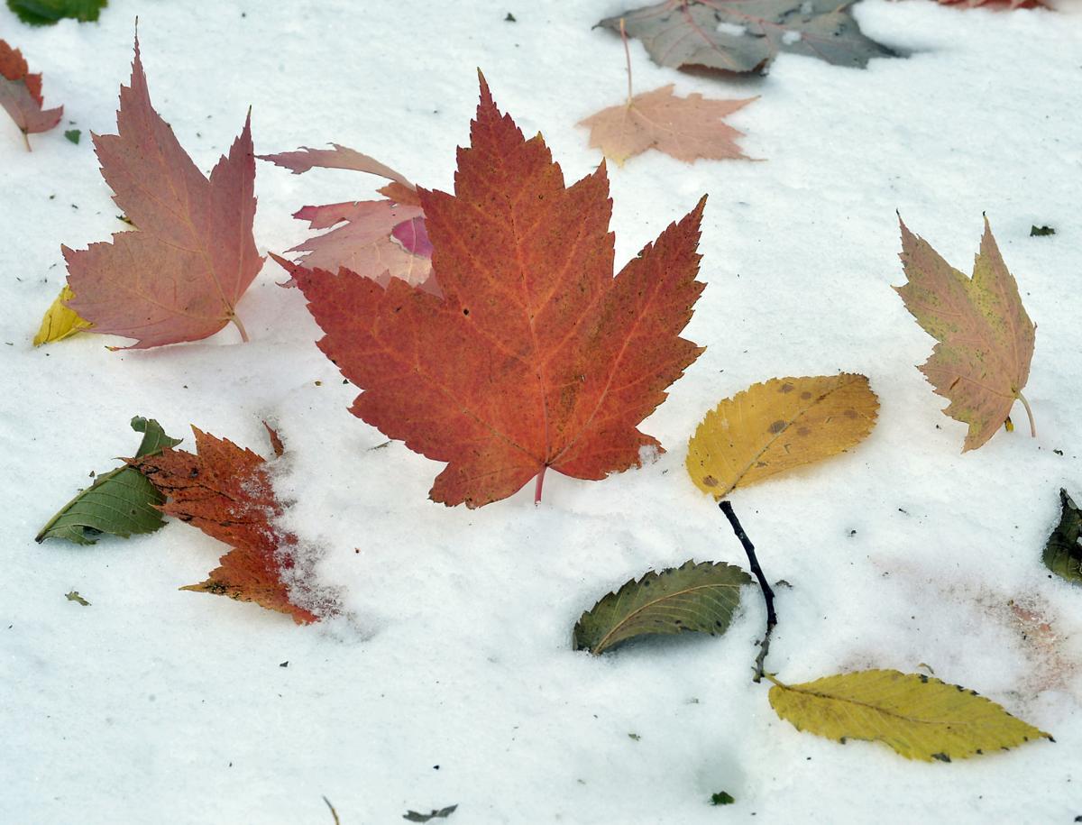 101219-nws-Snow-Storm-01