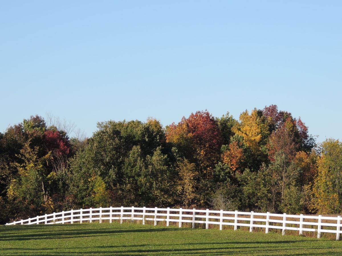 Autumn Colors