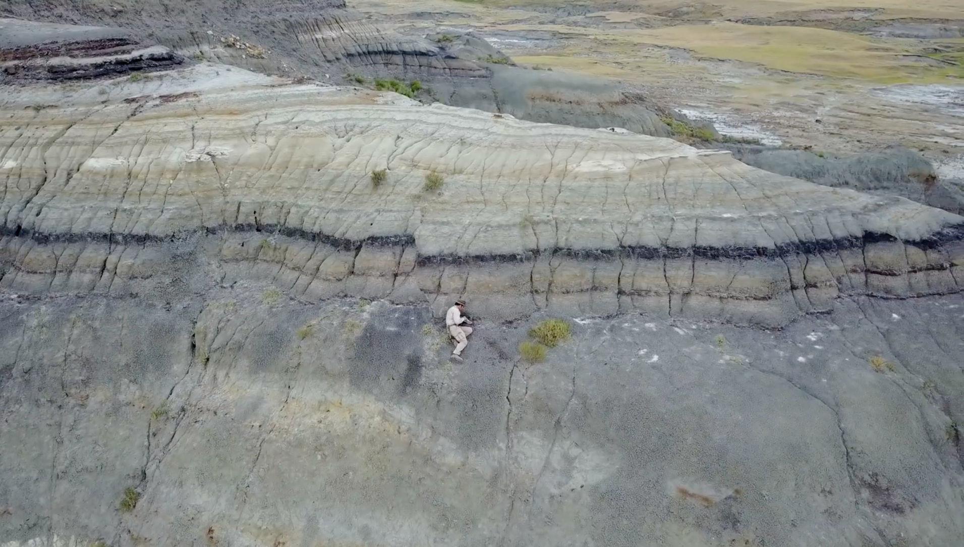 robert depalma paleontologist