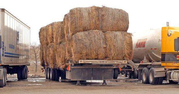 Hay Hotline activated amid drought in North Dakota