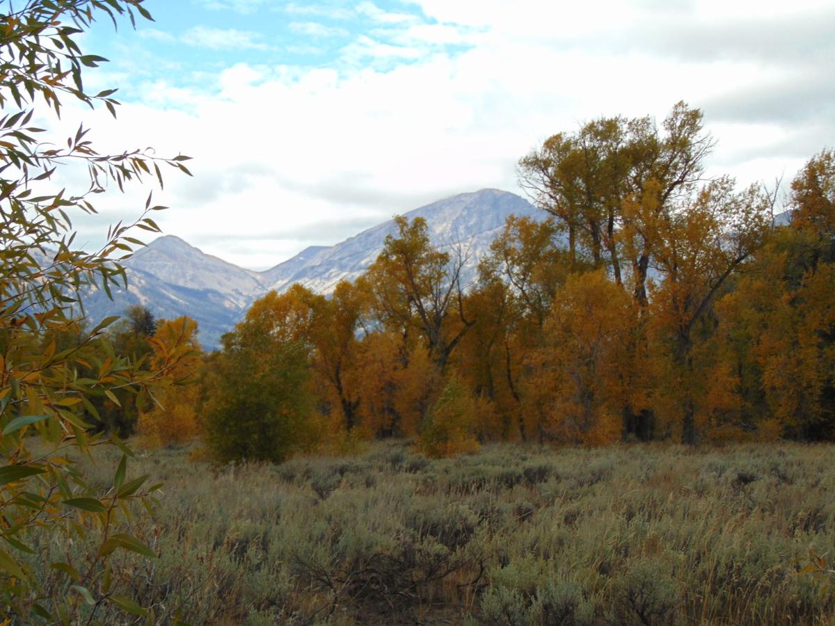 Grand Tetons