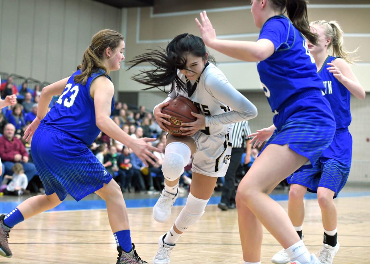 Defense Key For Demons Again Sports Bismarcktribune Com