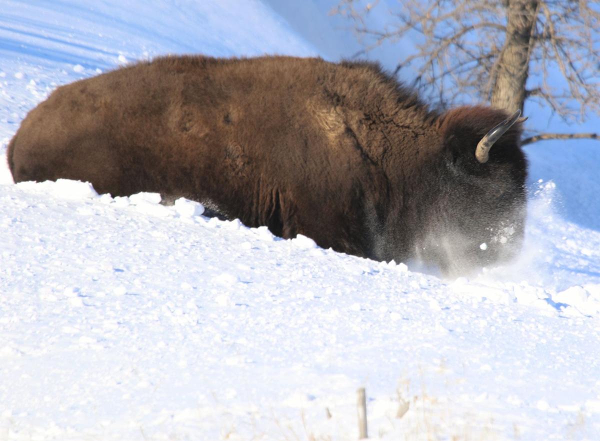 A Snow Plow
