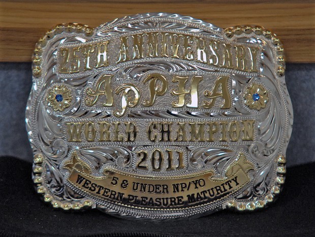 horse show belt buckles