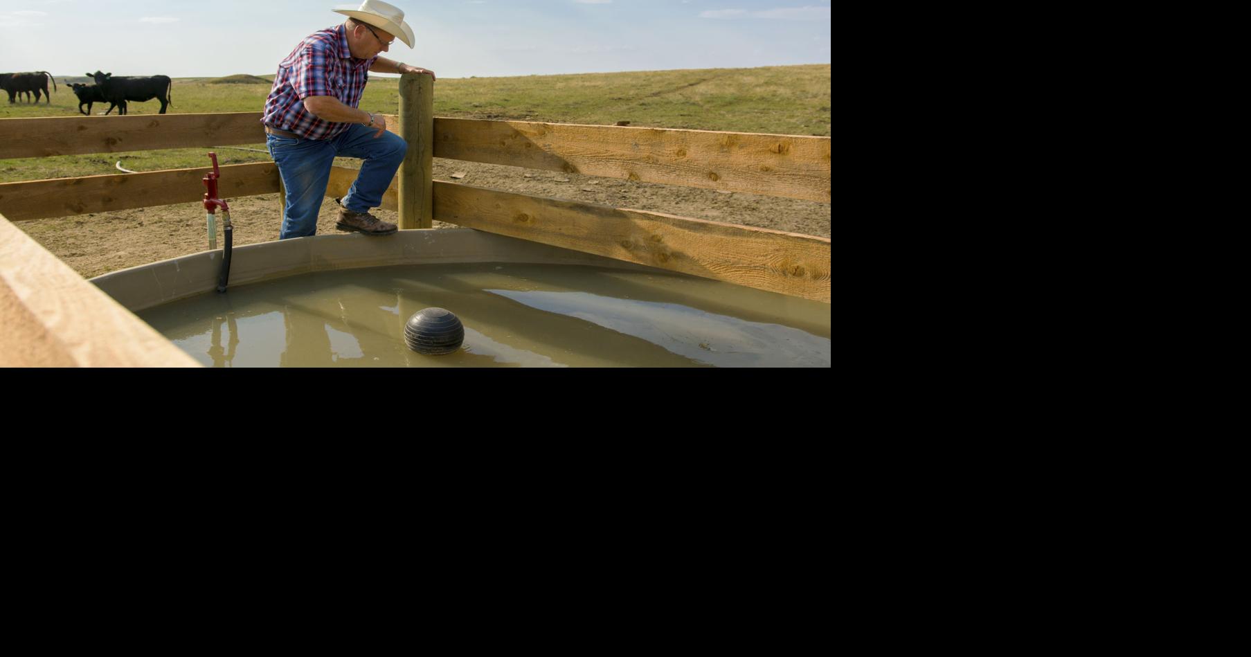 Allies, not enemies: Big North Dakota ranch works with outdoor groups