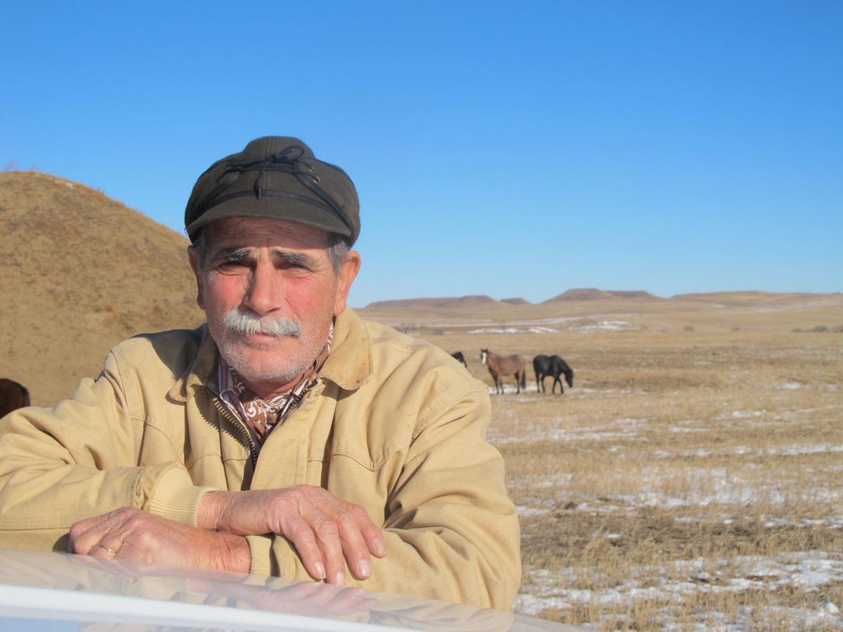 Nokota Horse Conservancy faces dispersal North Dakota News