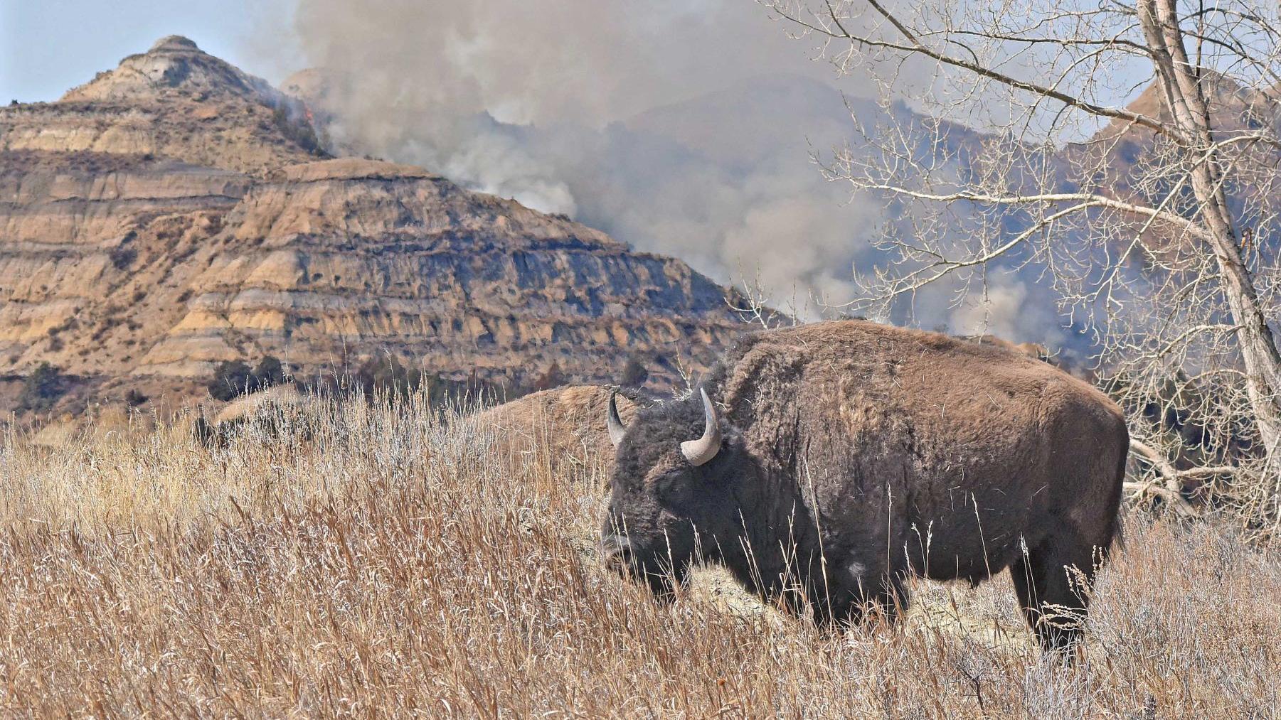 Burgum declares statewide drought disaster; national park fire 65% contained - Vimarsana News