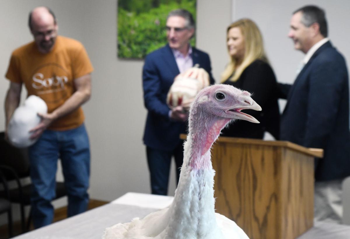 Pardoned turkey