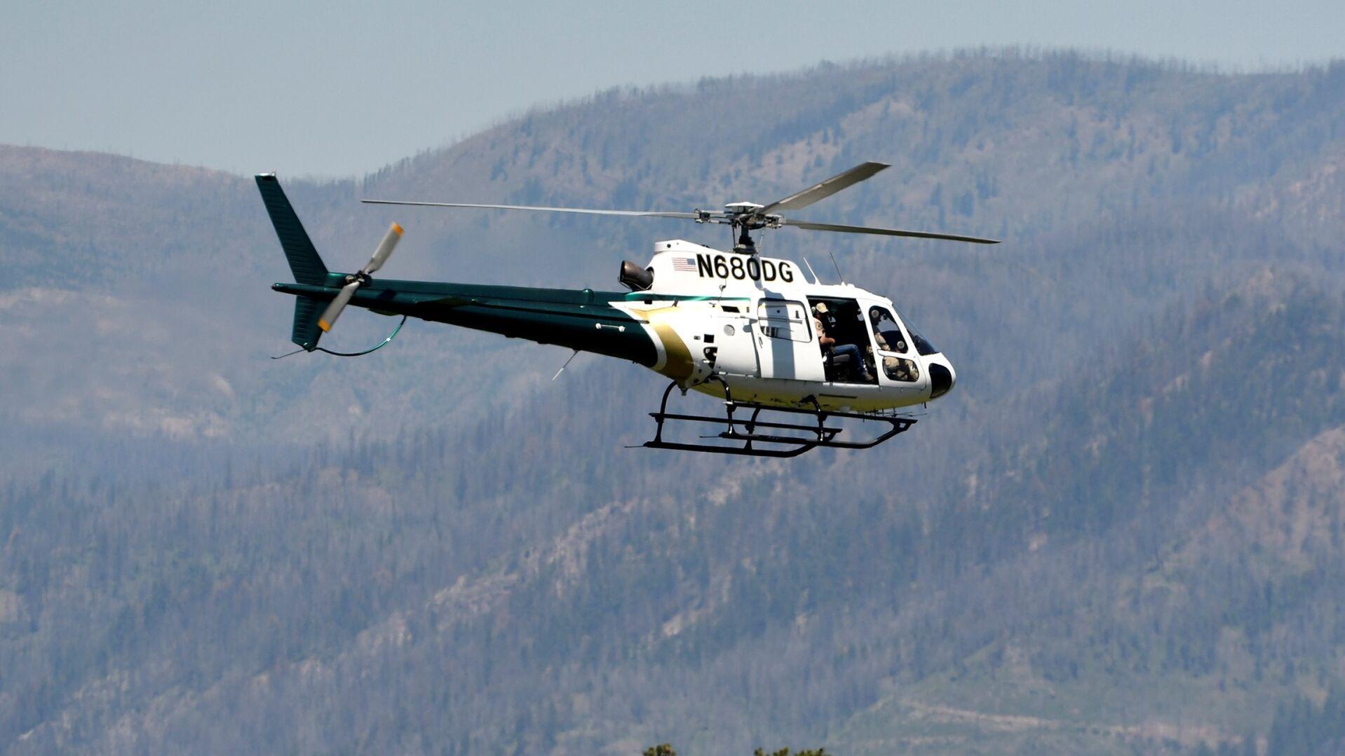 Grizzly shot, killed after fatal attack of woman in Montana - Vimarsana News