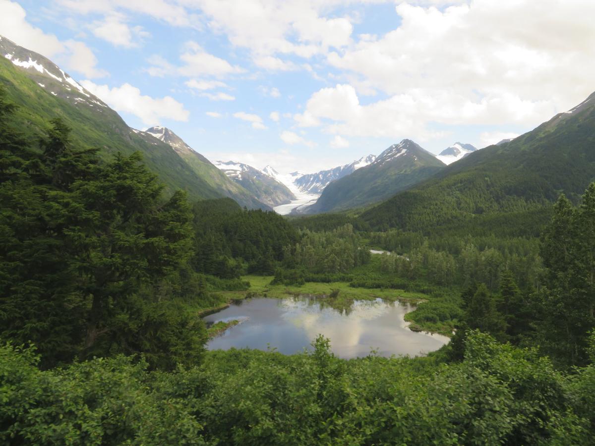 Glaciers Everwhere!