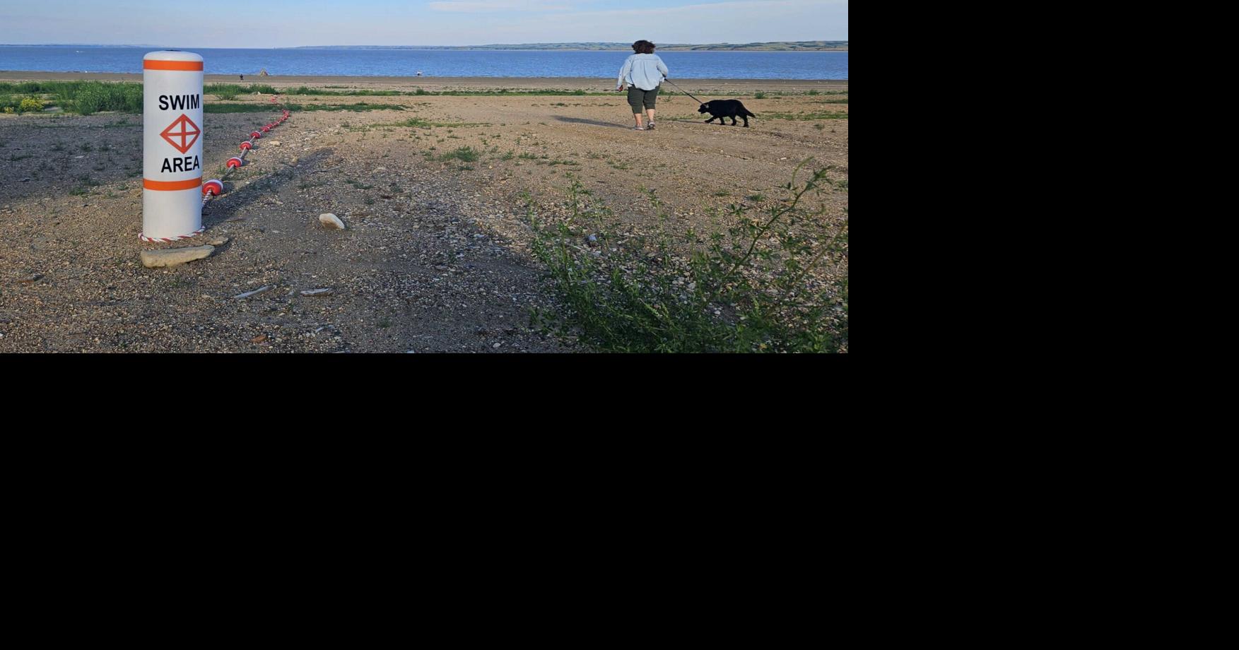 Shrinking lake, shrinking access: Low water on Sakakawea tough on resorts, boaters JEFF BEACH North Dakota Monitor Aug 9, 2026 5 mins ago