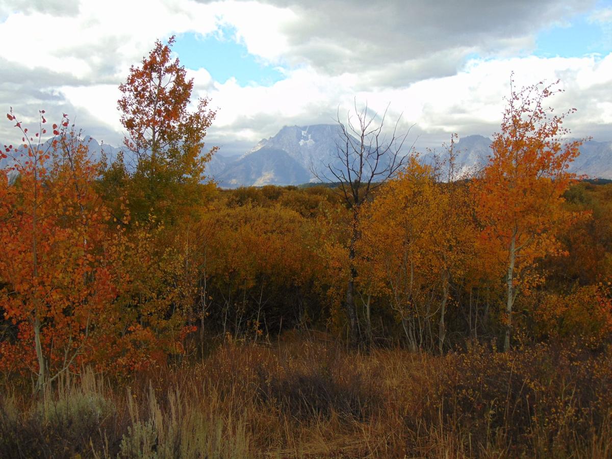 Fall in the Grand Tetons