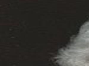 Doris Anderson Bismarck Obituaries Bismarcktribune Com