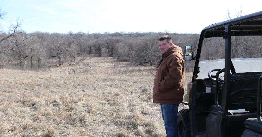 Carbon capture pipeline easements don't equal endorsements - Vimarsana News