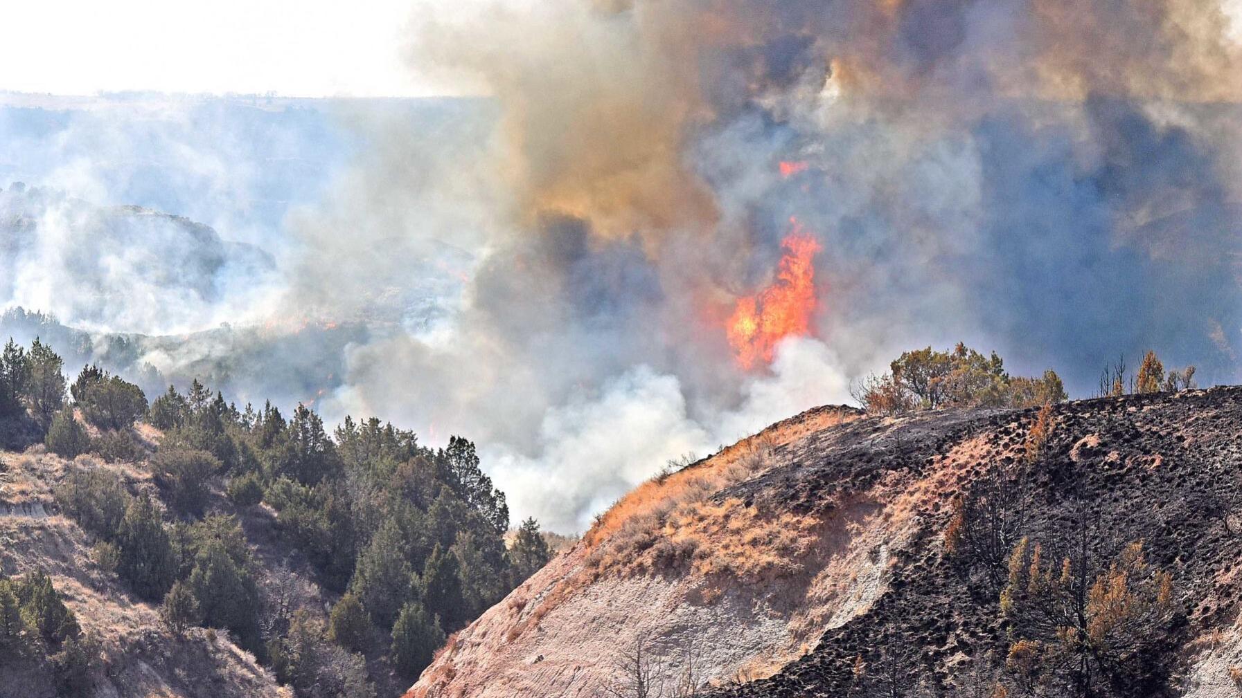 Crews still working to contain national park fire - Vimarsana News