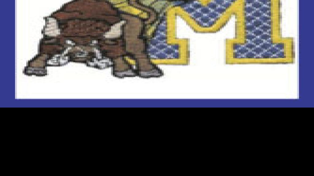 B boys state Milnor beats FWM for title; LLM takes third High