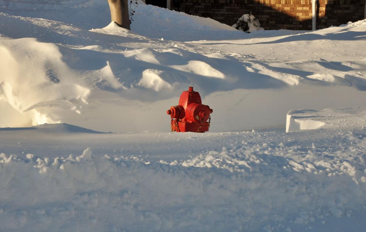 Peek-a-boo - Fire Hydrant