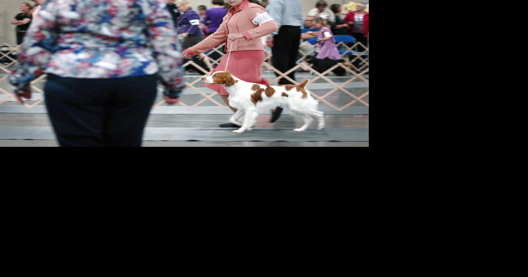 Bismarck Kennel Club Dog Show