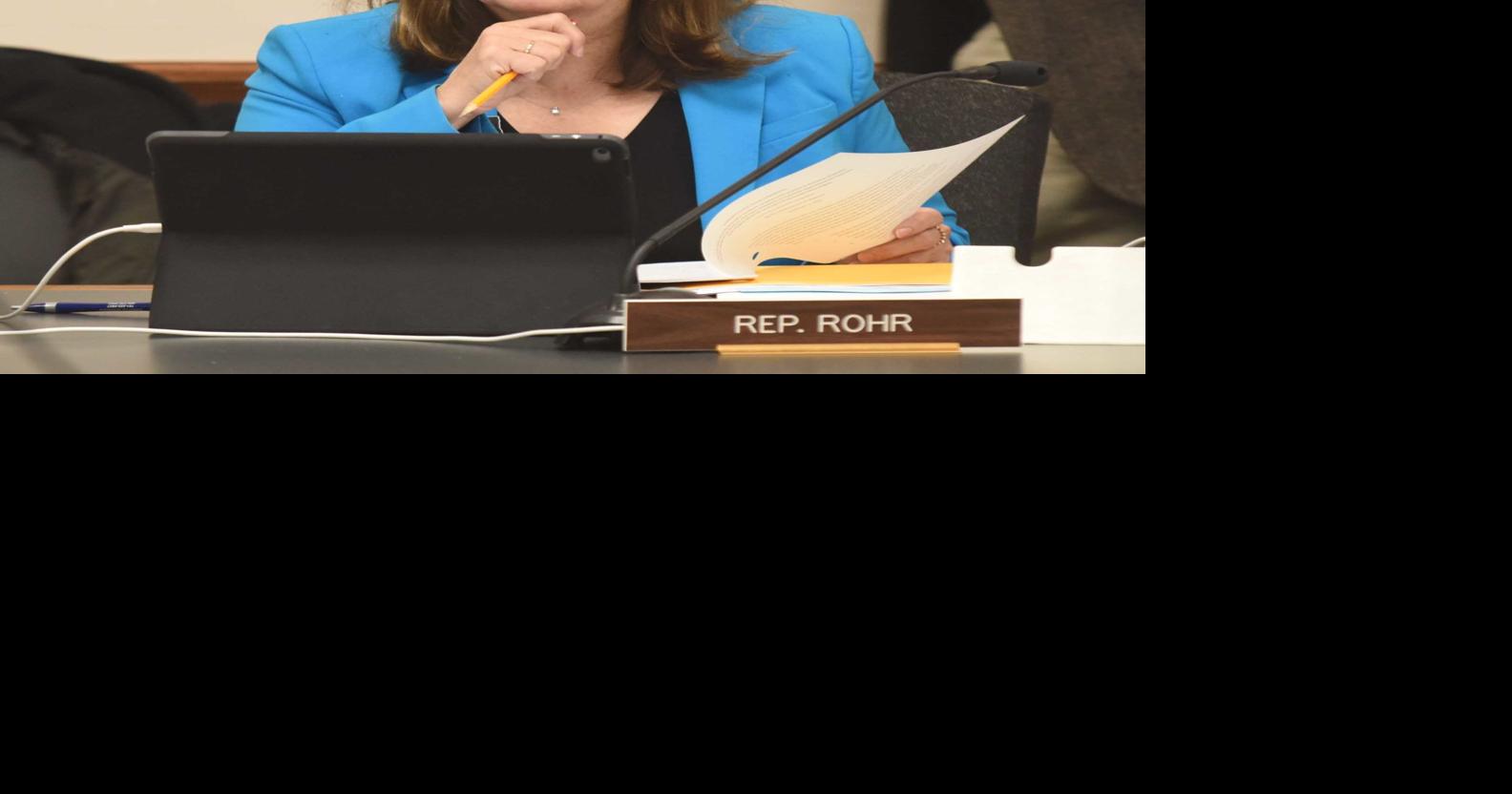 Mandan's Karen Rohr launches reelection bid in District 31