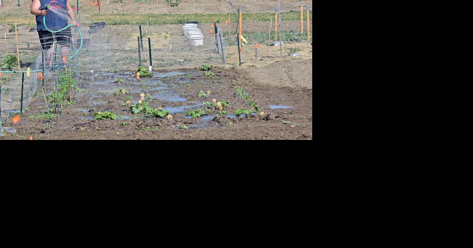 Bismarck water restrictions lifted