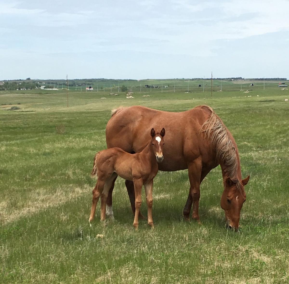 Staying Close to Mom