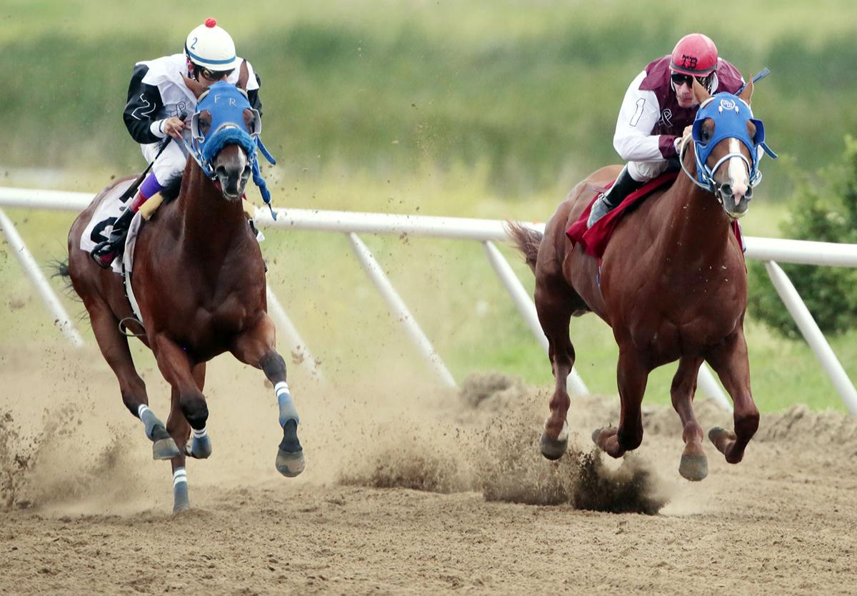 Live horse racing returns to Fargo with Friday night dates North