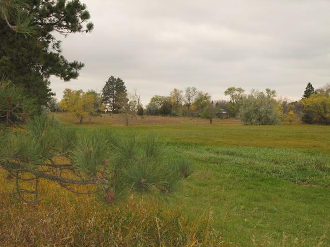 Making the best better Popular Lake Sakakawea park would almost double