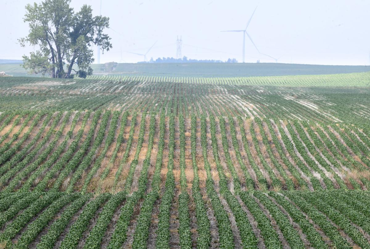 072321-nws-drought-crop