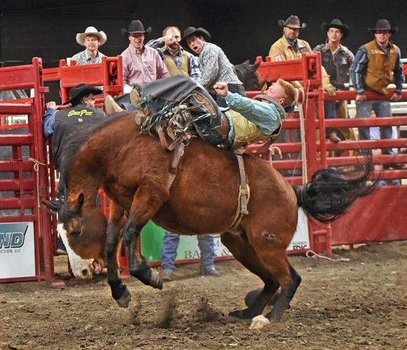 MSP video shows cowboy on horseback cashing steer on I-75