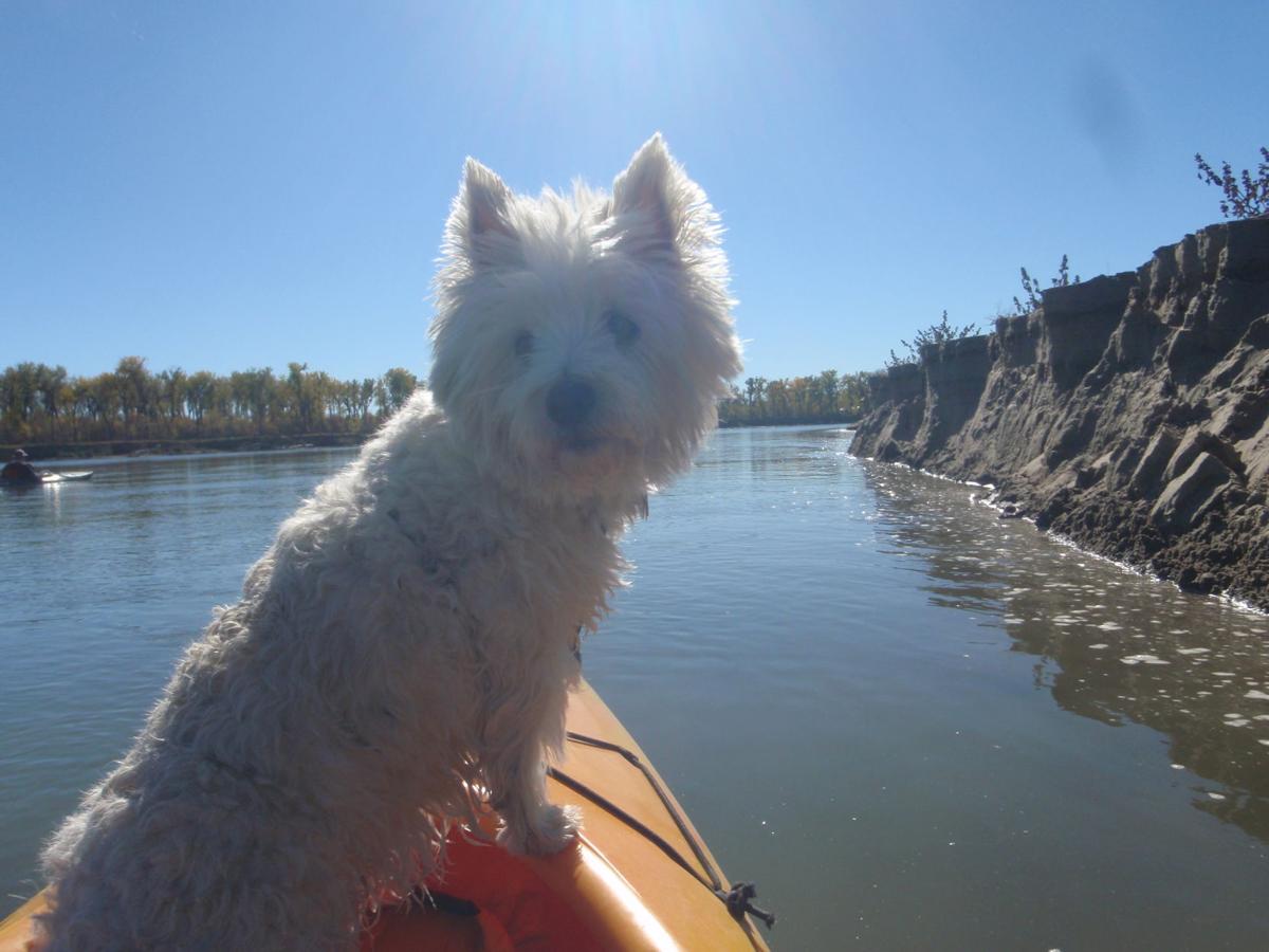 Fall Kayaking
