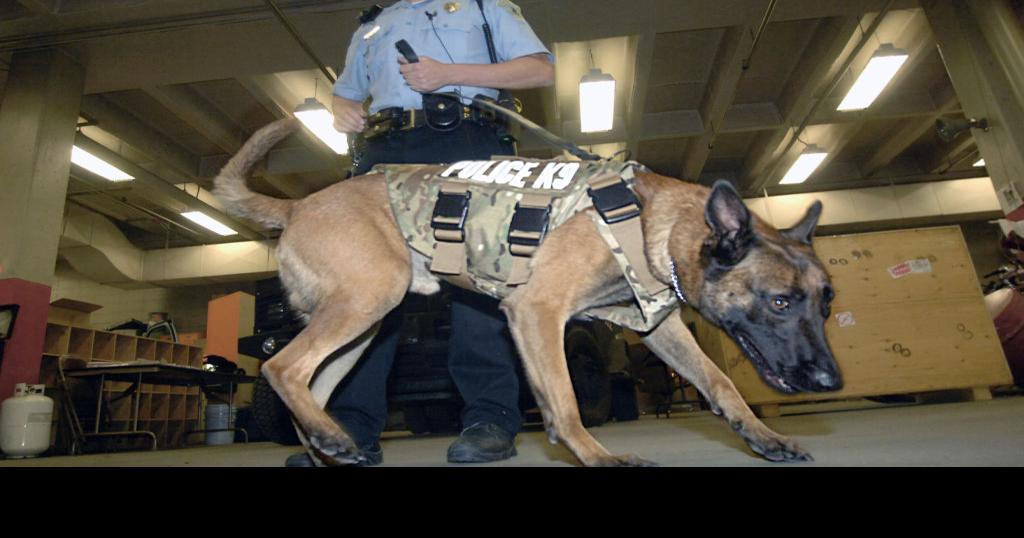 Bismarck police dogs receive body armor