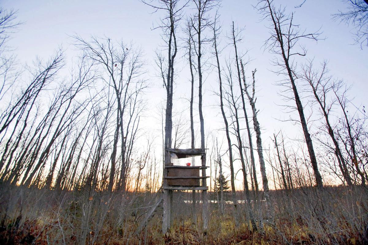 Deer hunting success will require walking Outdoors