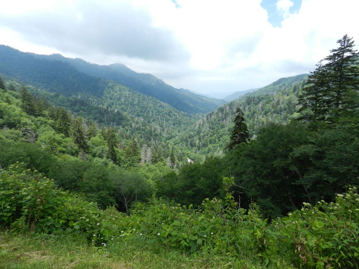 Great Smokies