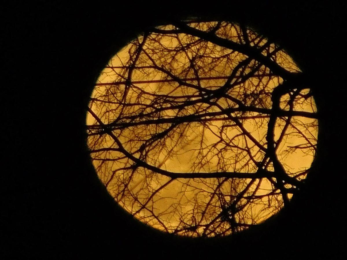 Full Moon over Bismarck