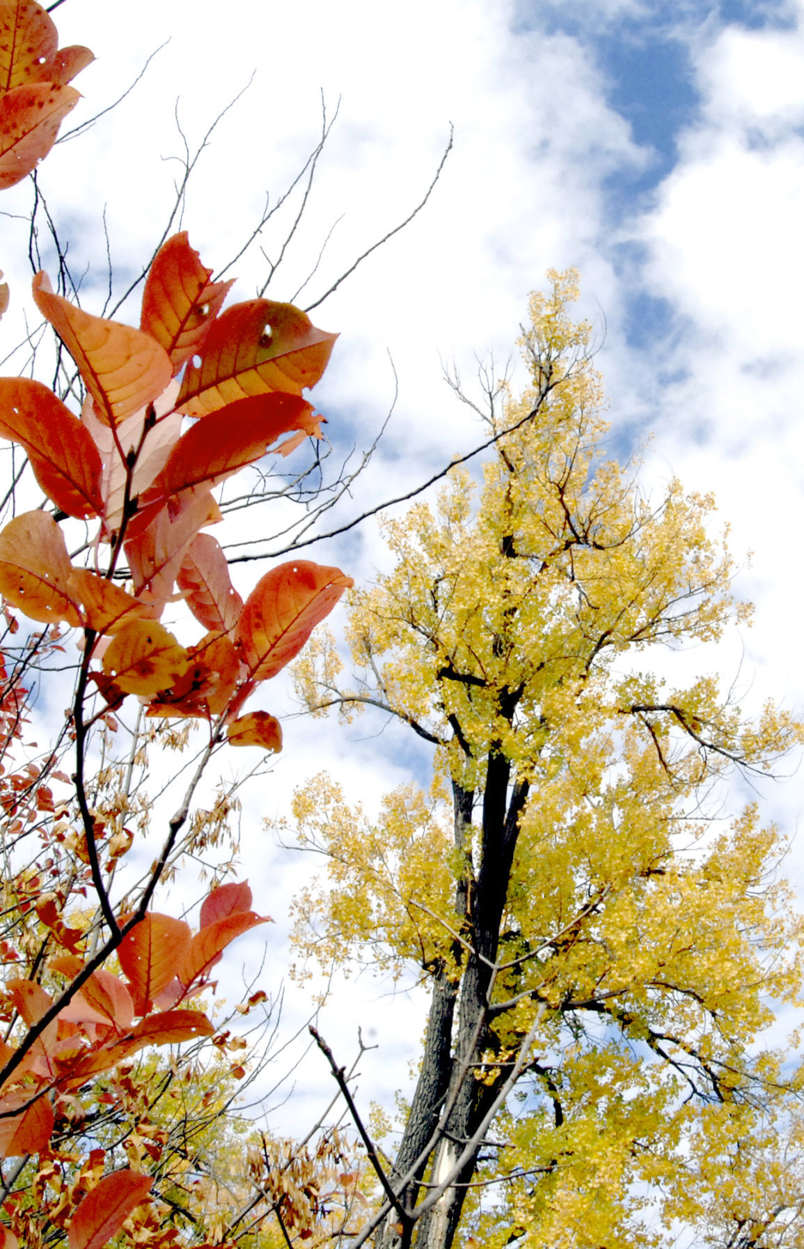 100817-nws-autumn-trail-4