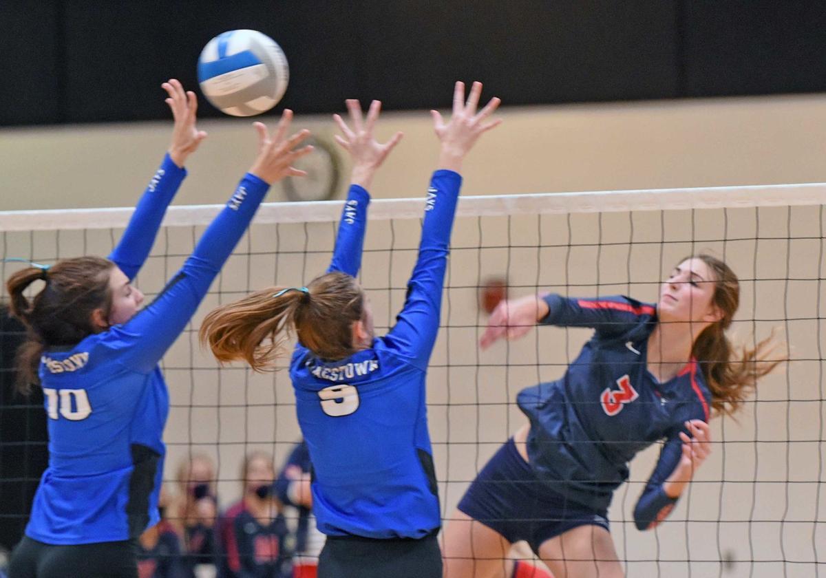 111520-spt-volleyball1.jpg
