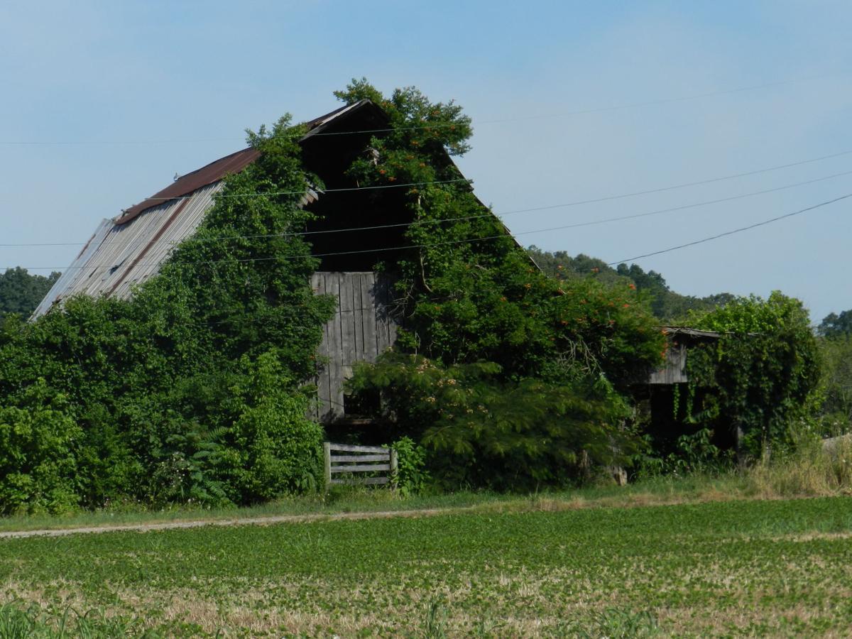 Abandoned barn