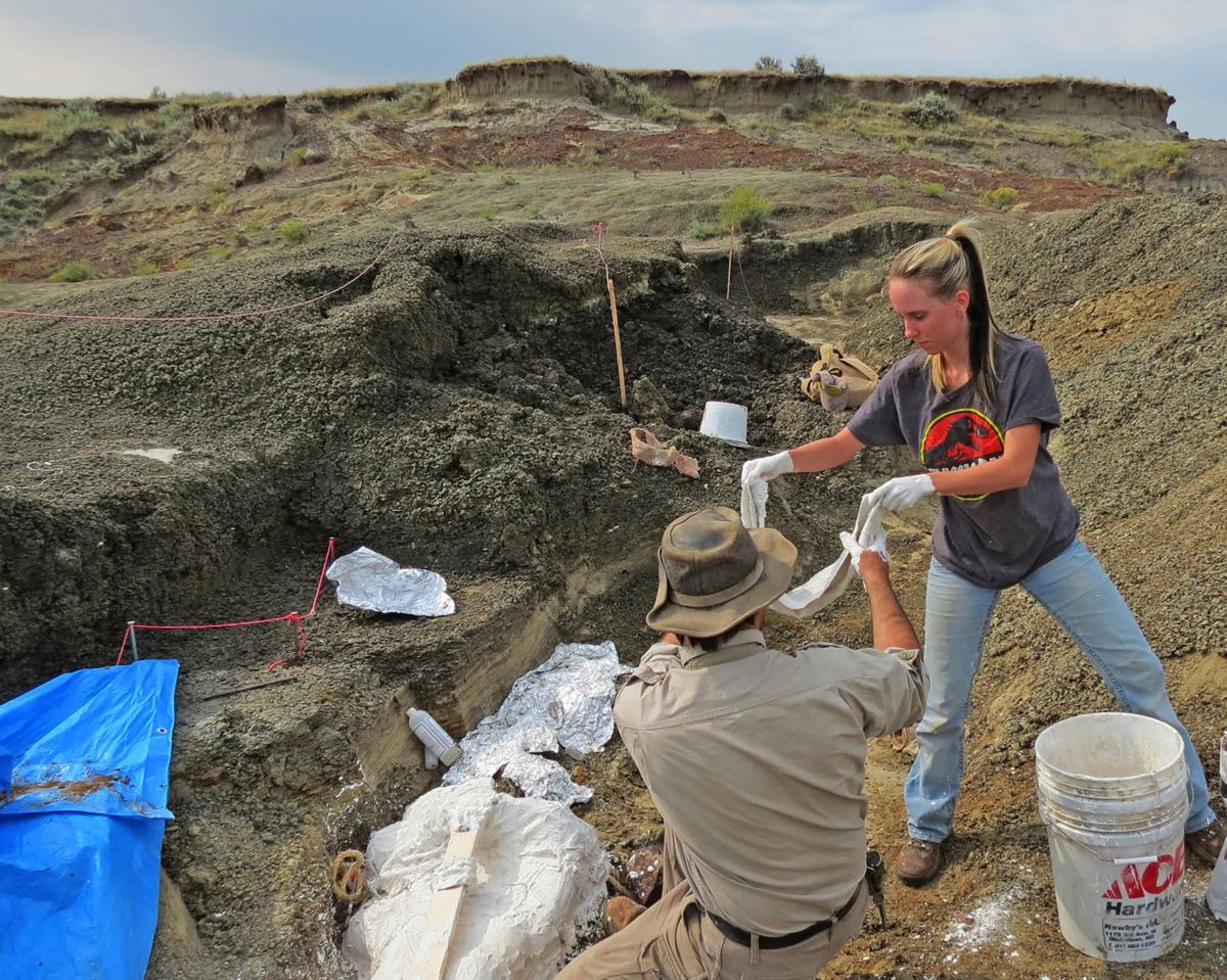 'The day the dinosaurs died' Fossilized snapshot of mass death found on North Dakota ranch