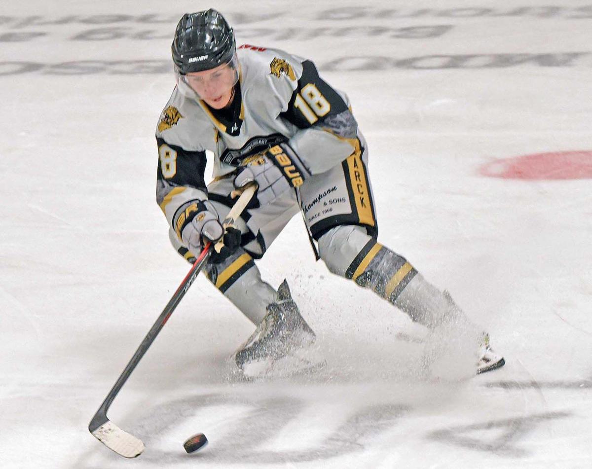 Bobcats' Pietila scores big goals, set for first NAHL playoffs
