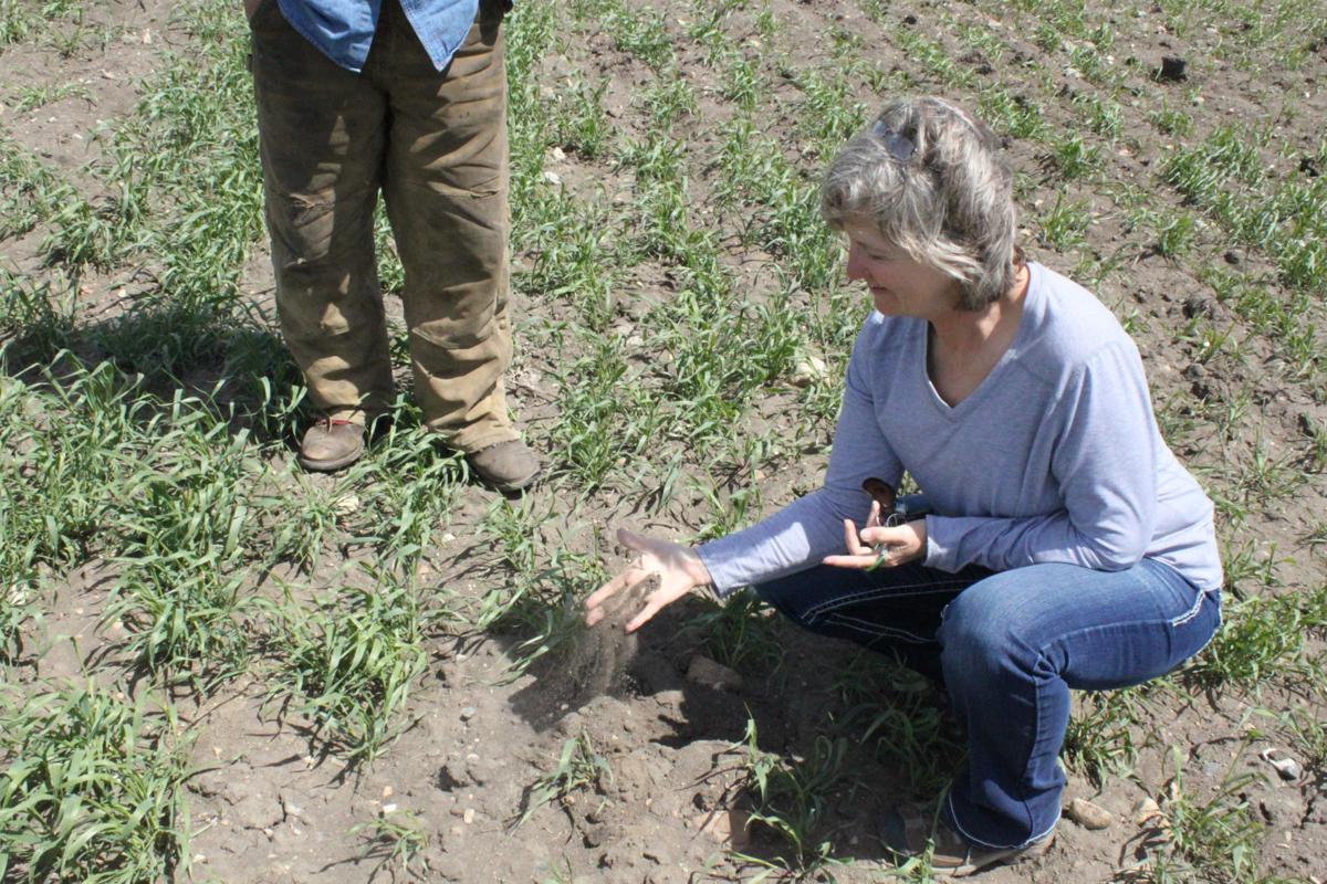 Nearly Six Years After Record Oil Spill North Dakota Landowners See Work Ahead State Regional Bismarcktribune Com