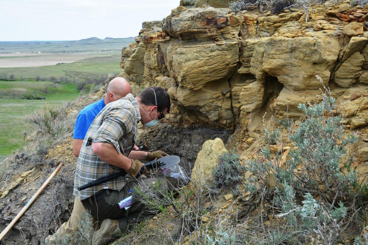 State geologists finding formula for discovery of valuable elements