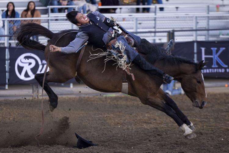 Mystic Stampede rodeo a success