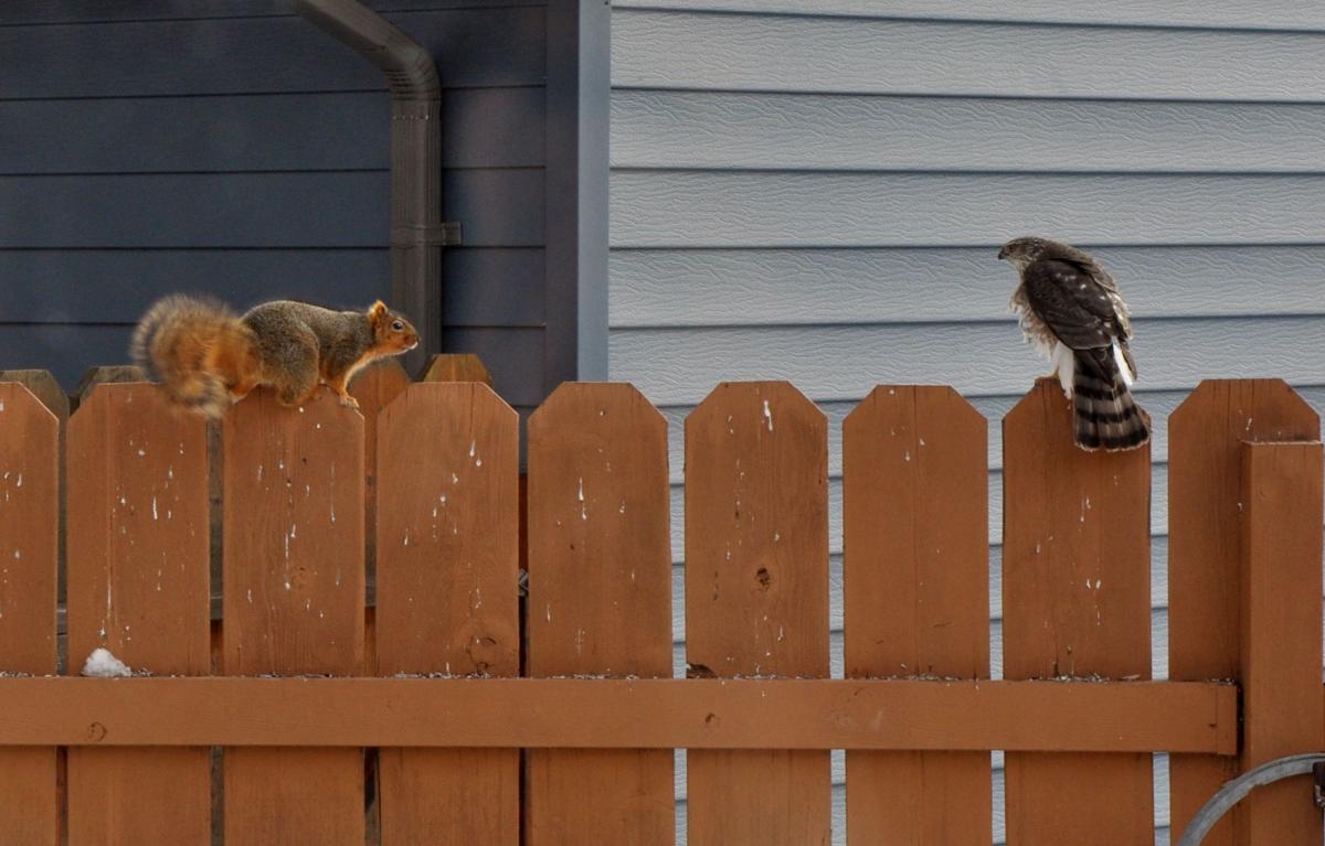 Mexican standoff