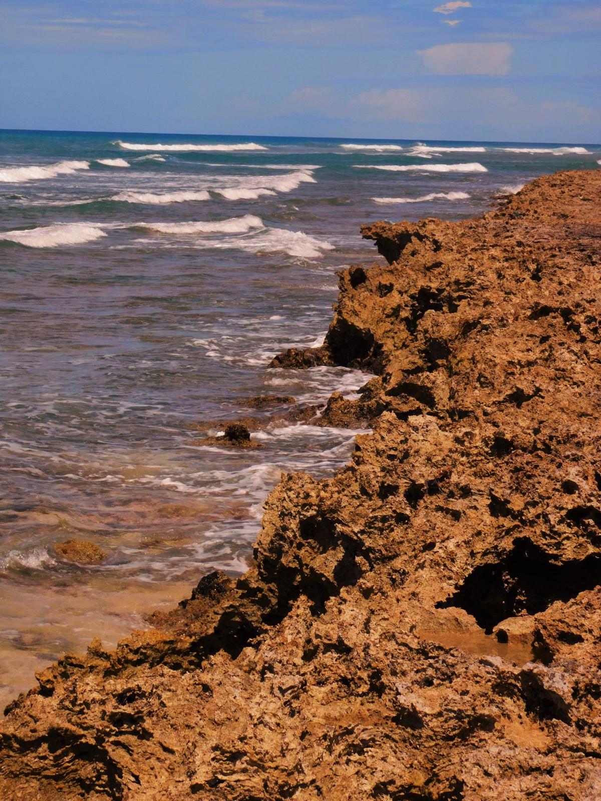 Lava Rock Beach