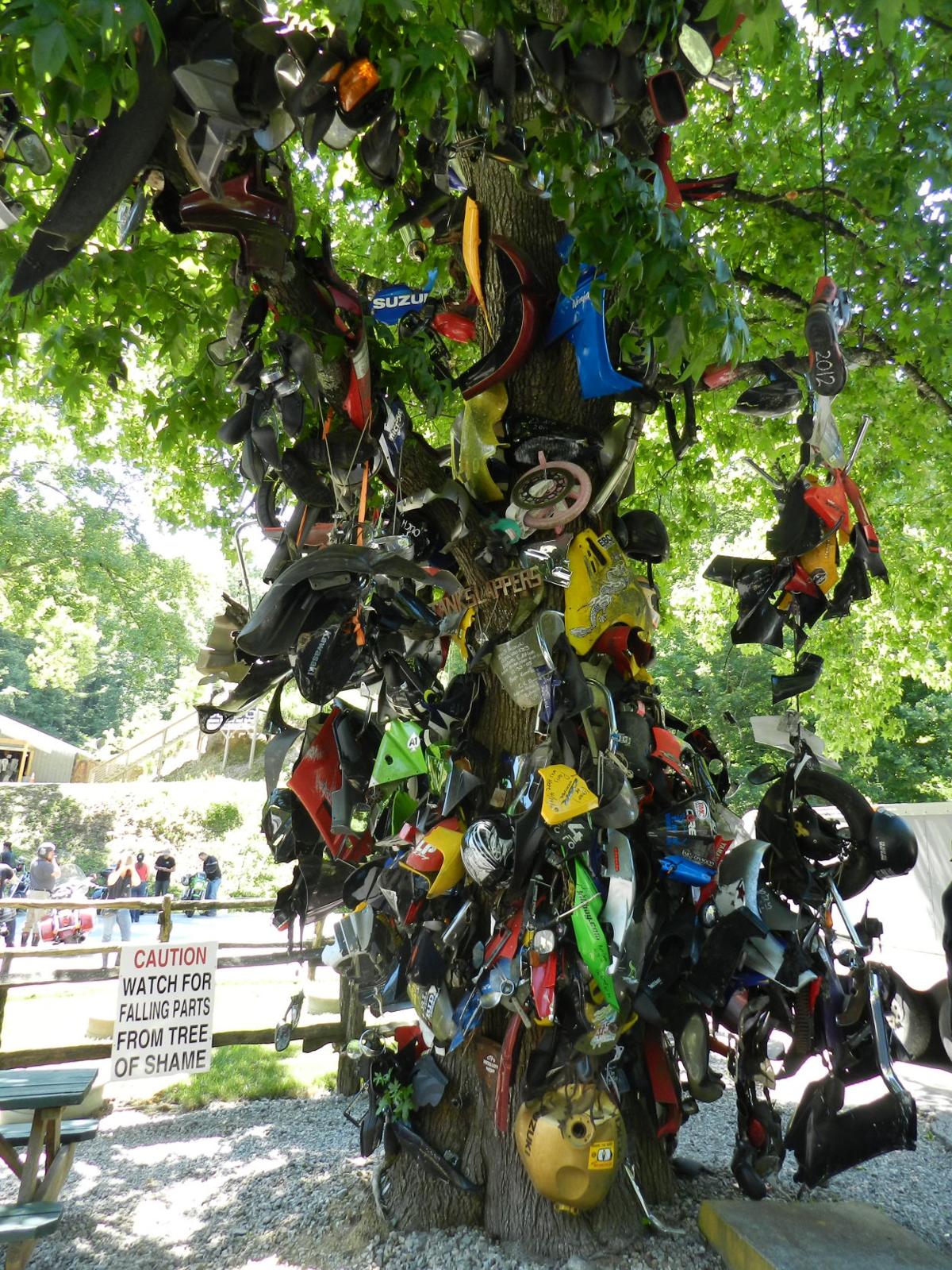 Tree of Shame