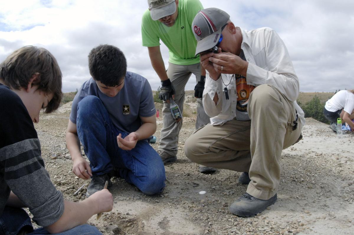 fossil dig