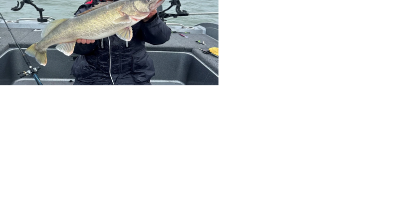 Bismarck man recounts landing record SD walleye; Schuck's whopper weighed 16.8 pounds - Vimarsana News