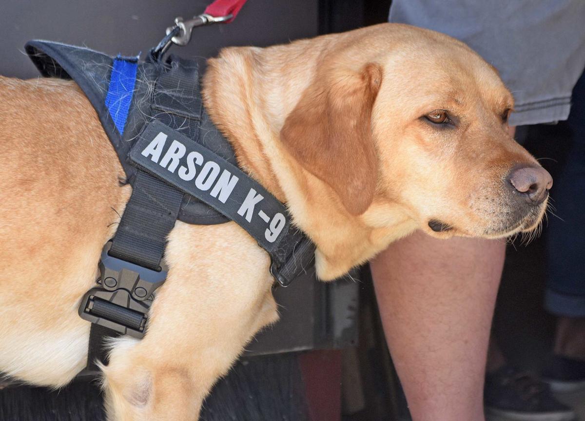 Local fire departments host arson dog re certification Bismarck