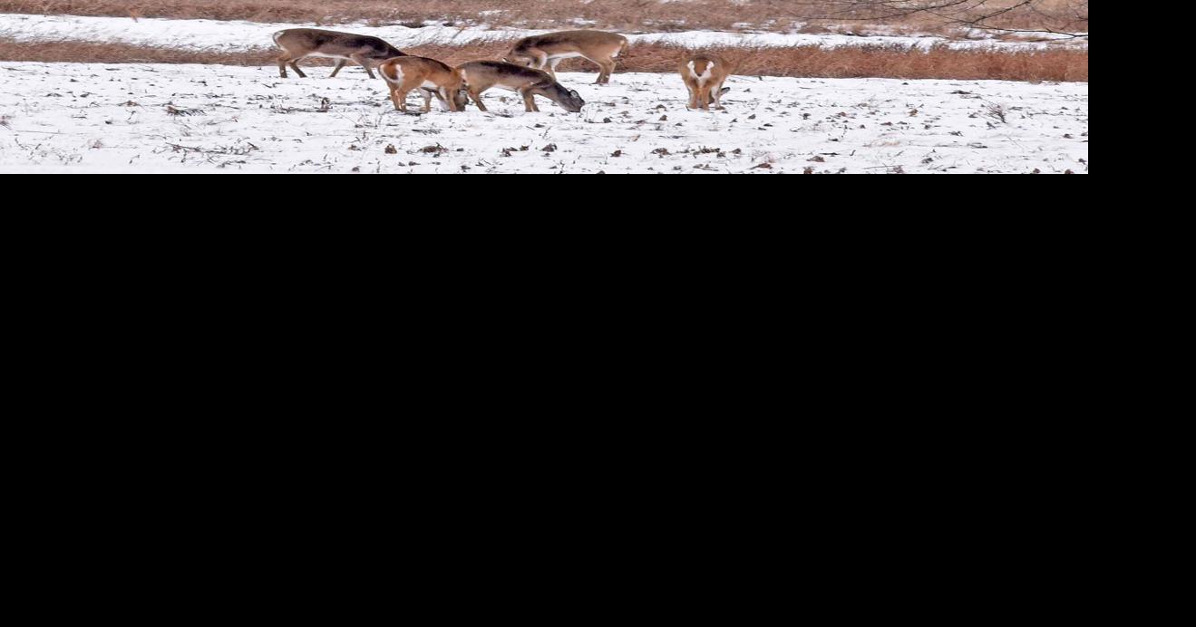 Half foot of snow may blow into Bismarck, Mandan